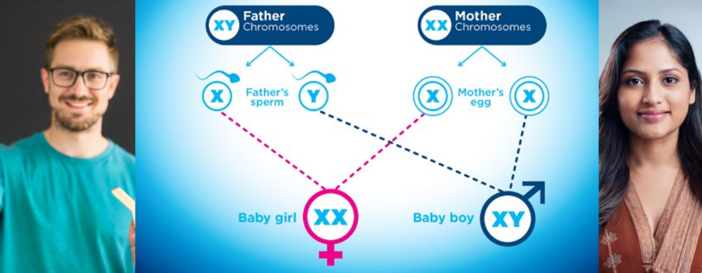 chromosomes